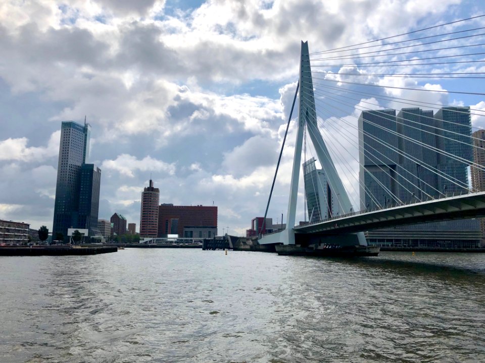 Erasmusbrug, Rotterdam, Zuid-Holland, Nederland 