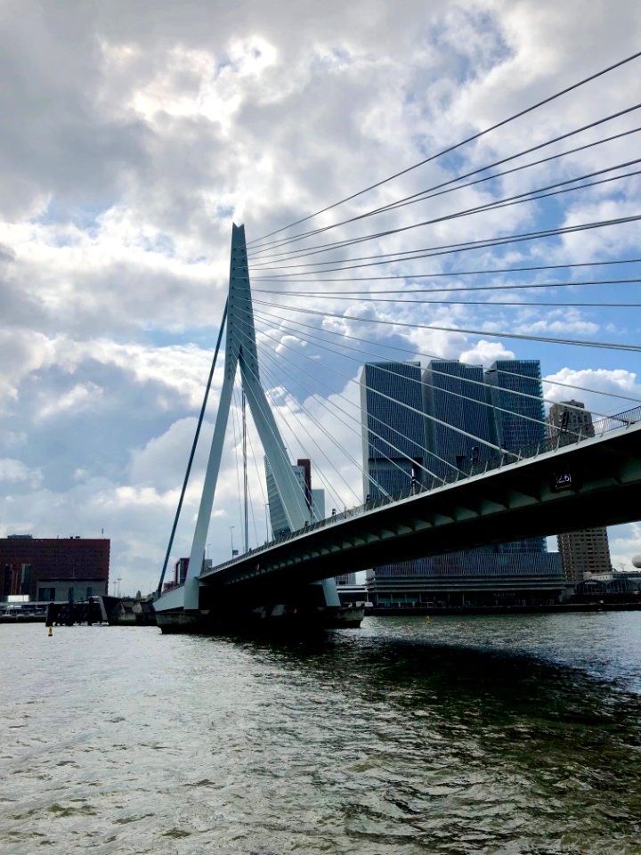 Erasmusbrug, Rotterdam, Zuid-Holland, Nederland 