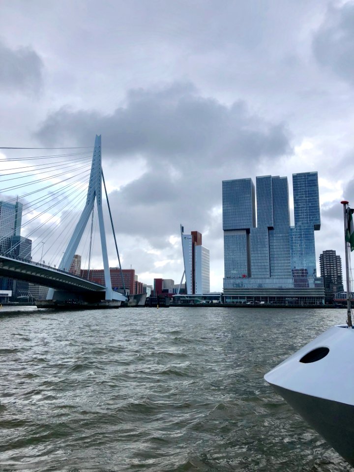 Erasmusbrug, Rotterdam, Zuid-Holland, Nederland 