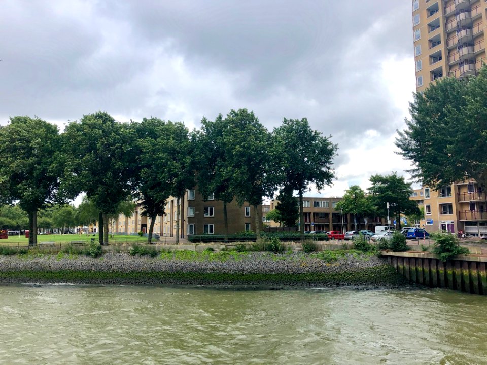 Buizenpark, Katendrecht, Rotterdam, Zuid-Holland, Nederlan… 