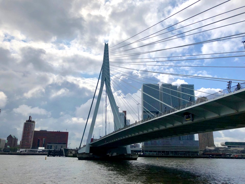 Erasmusbrug, Rotterdam, Zuid-Holland, Nederland 