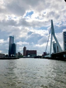 Erasmusbrug, Rotterdam, Zuid-Holland, Nederland 