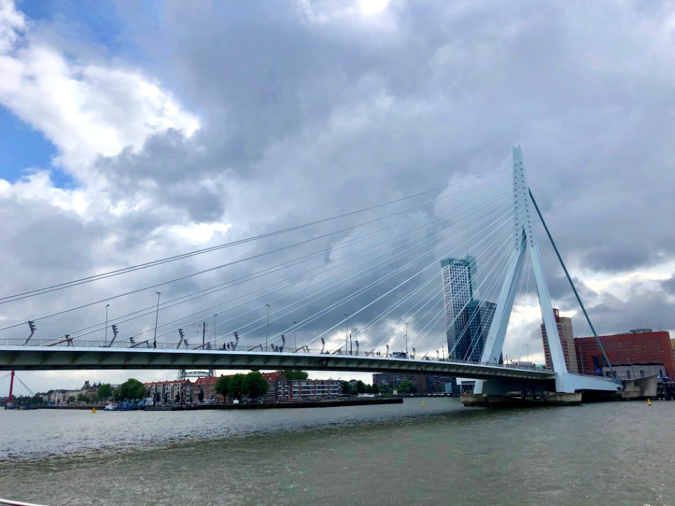 Erasmusbrug, Rotterdam, Zuid-Holland, Nederland 
