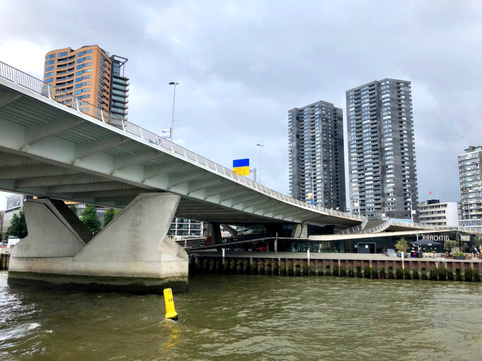 Erasmusbrug, Rotterdam, Zuid-Holland, Nederland 