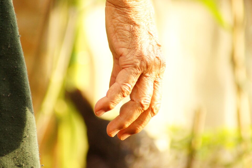 Peasant finlandia quindio