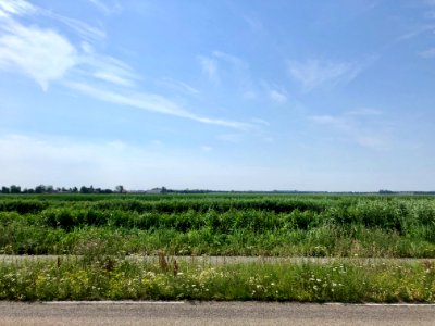 Jaagweg, Katwoude, Noord-Holland, Nederland 