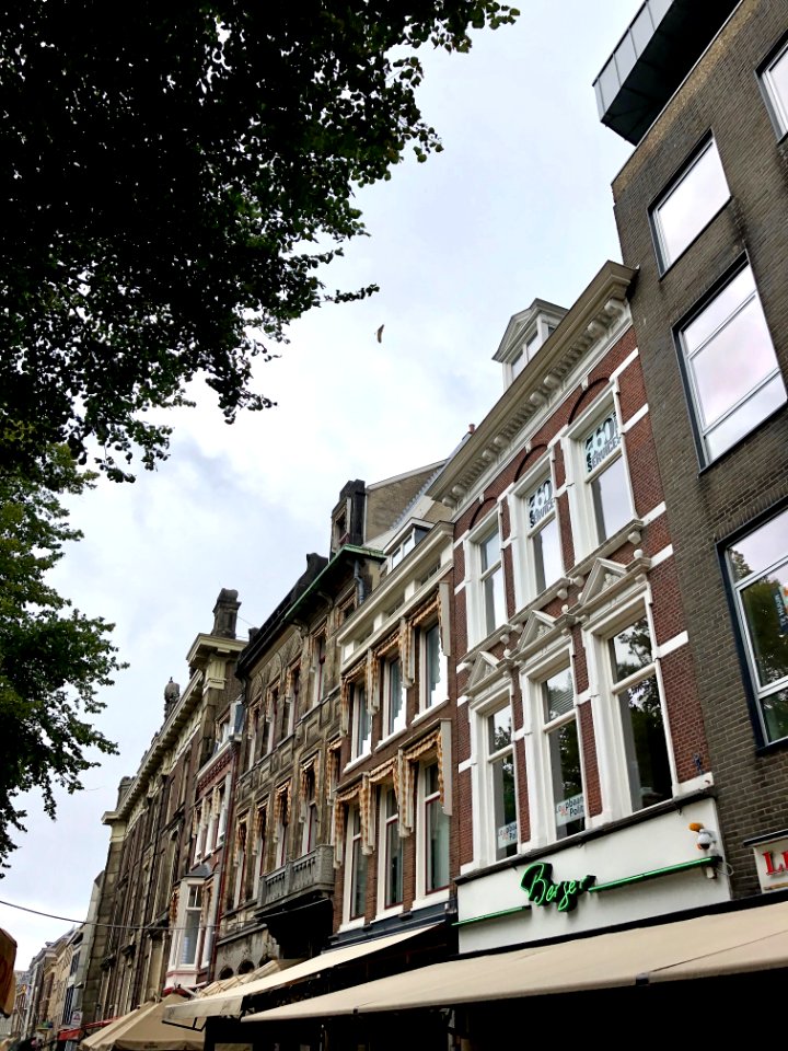 Plein, Den Haag, Zuid-Holland, Nederland 