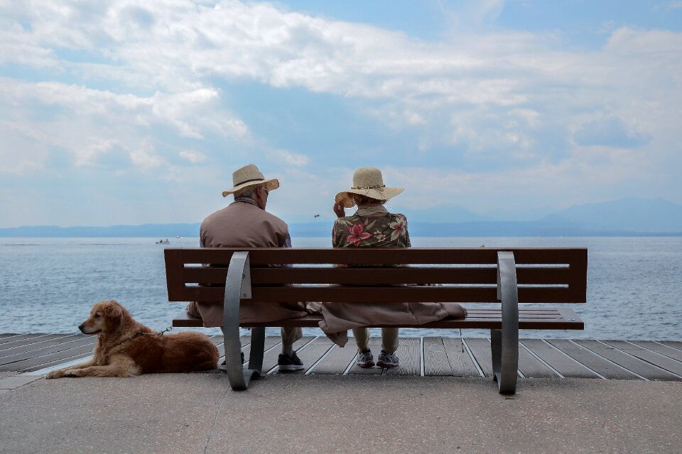 Dog ocean people