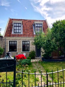 Bult, Edam, Noord-Holland, Nederland 