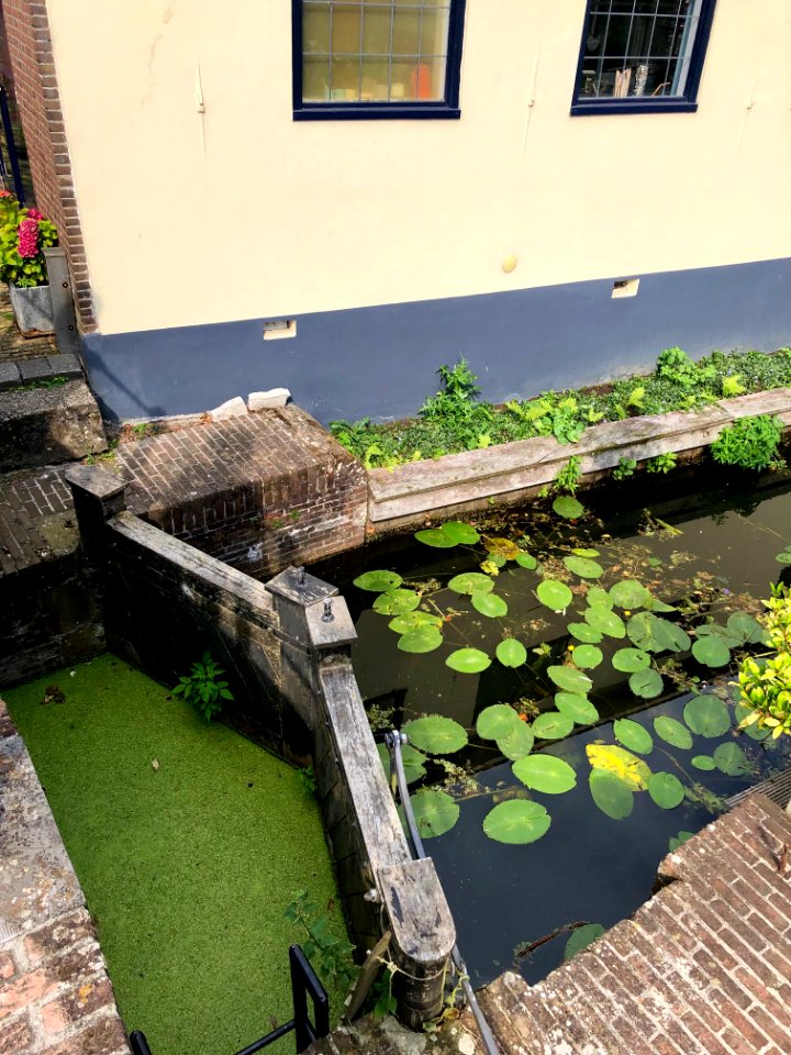 Doelland, Edam, Noord-Holland, Nederland 
