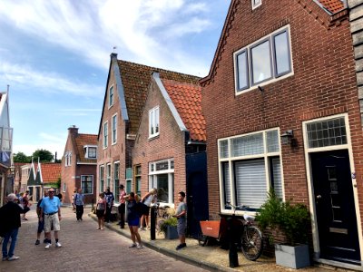 Bult, Edam, Noord-Holland, Nederland 