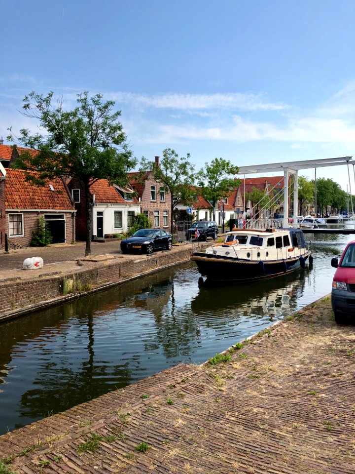 Bult, Edam, Noord-Holland, Nederland 