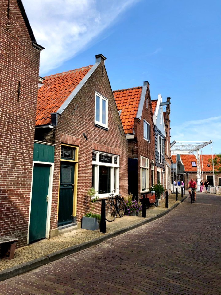 Bult, Edam, Noord-Holland, Nederland 