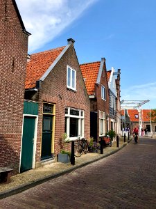 Bult, Edam, Noord-Holland, Nederland 
