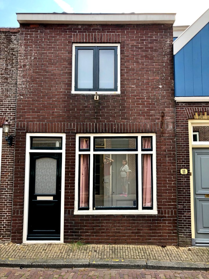 Bult, Edam, Noord-Holland, Nederland 