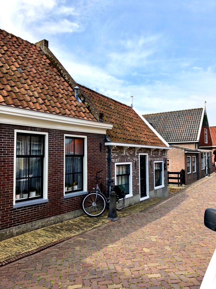 Bult, Edam, Noord-Holland, Nederland 