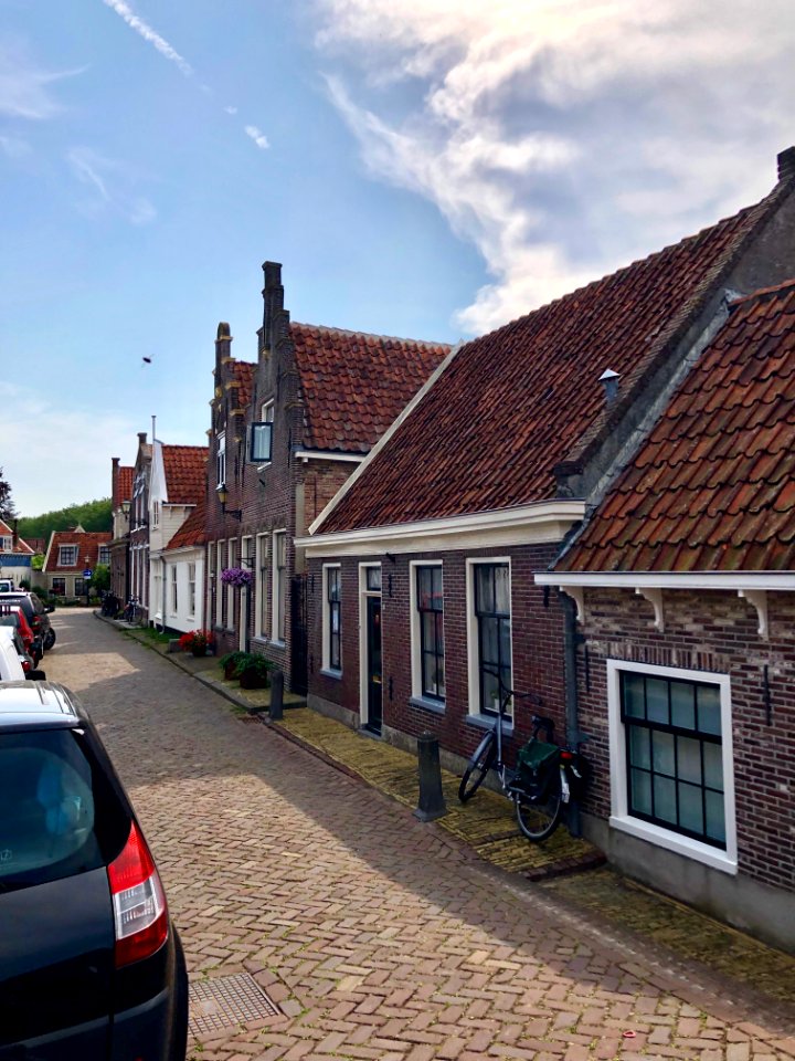 Bult, Edam, Noord-Holland, Nederland 