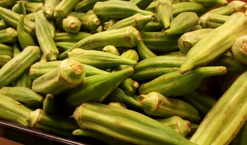 Ladies' fingers gumbo ochro