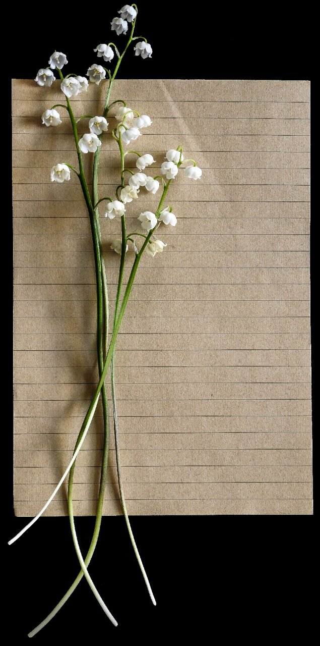 Paper flower rustic