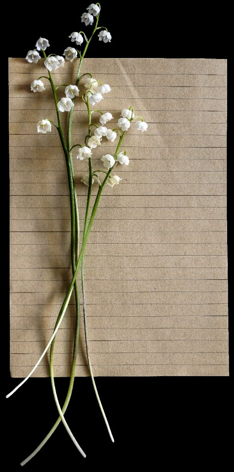 Paper flower rustic
