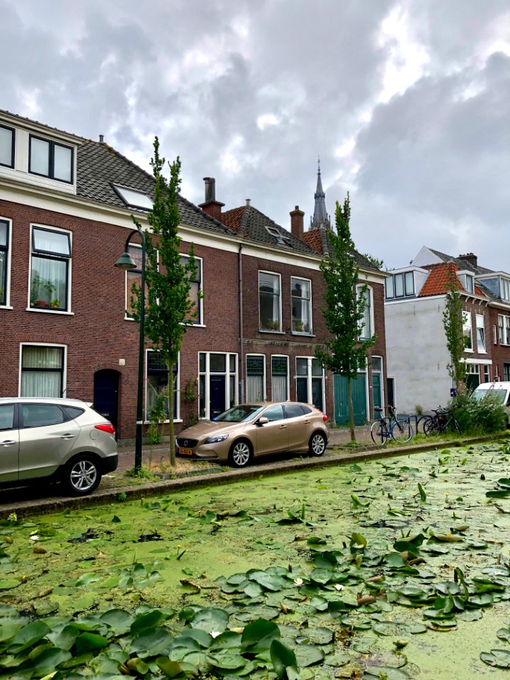Rietveld, Delft, Zuid-Holland, Nederland 