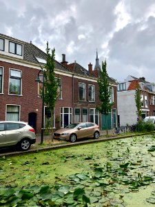 Rietveld, Delft, Zuid-Holland, Nederland 
