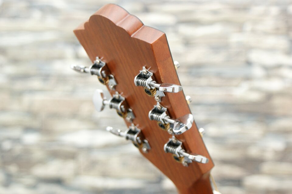 Music instrument stringed instrument