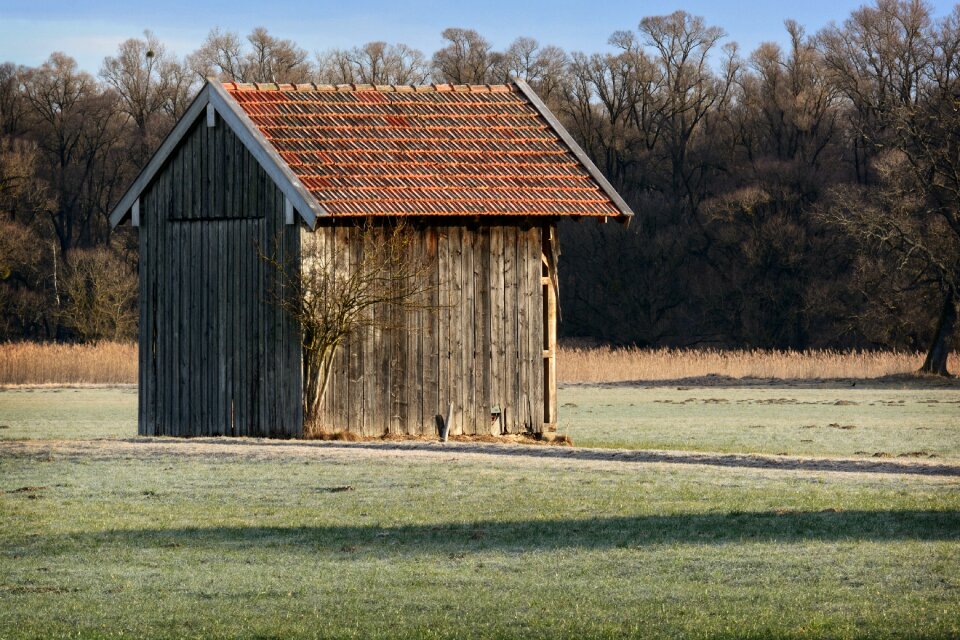 Nature field meadow