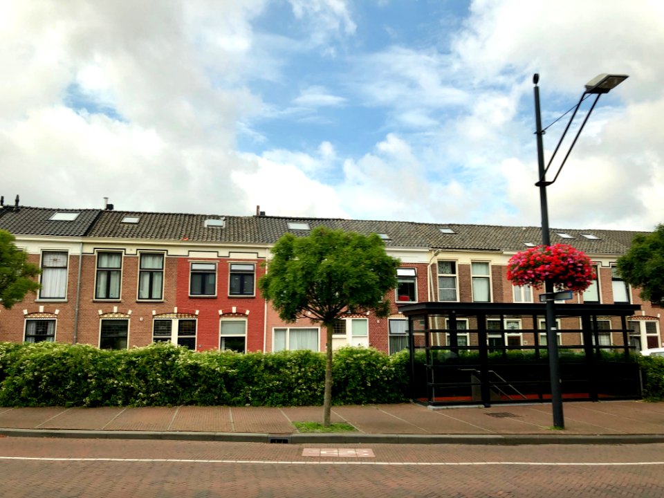 Van Renswoudestraat, Delft, Zuid-Holland, Nederland 