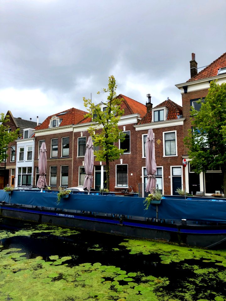 Verwersdijk, Delft, Zuid-Holland, Nederland 