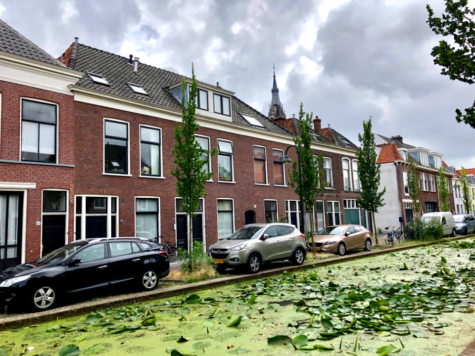 Rietveld, Delft, Zuid-Holland, Nederland 