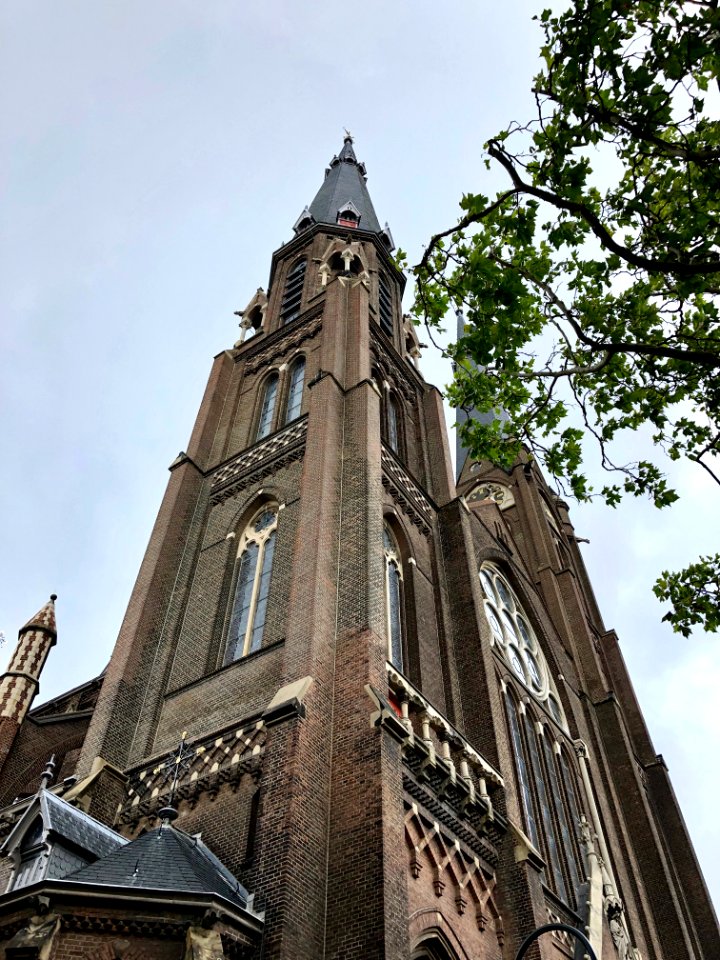 Maria van Jesse Kerk, Delft, Zuid-Holland, Nederland 