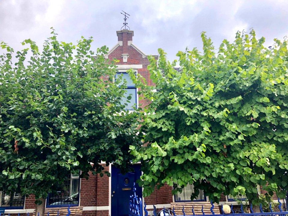Delftweg, Delft, Zuid-Holland, Nederland 