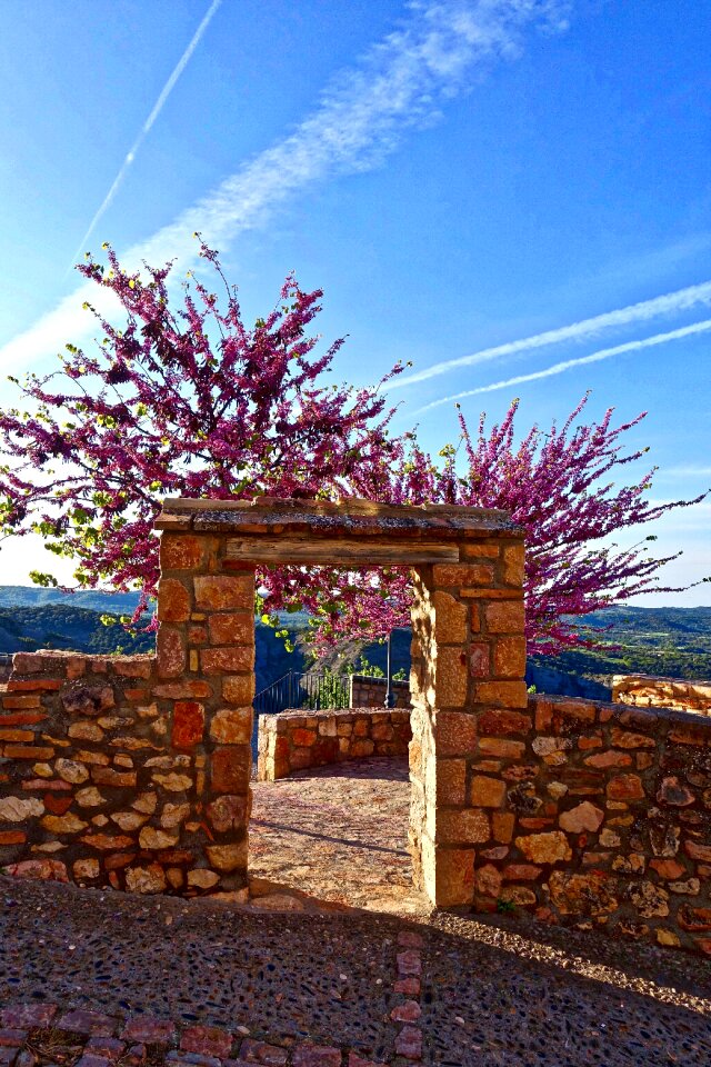 Blossom red stone