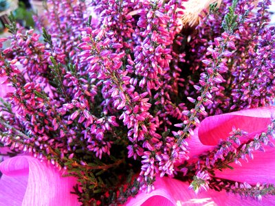Autumn herbstdeko autumn decoration