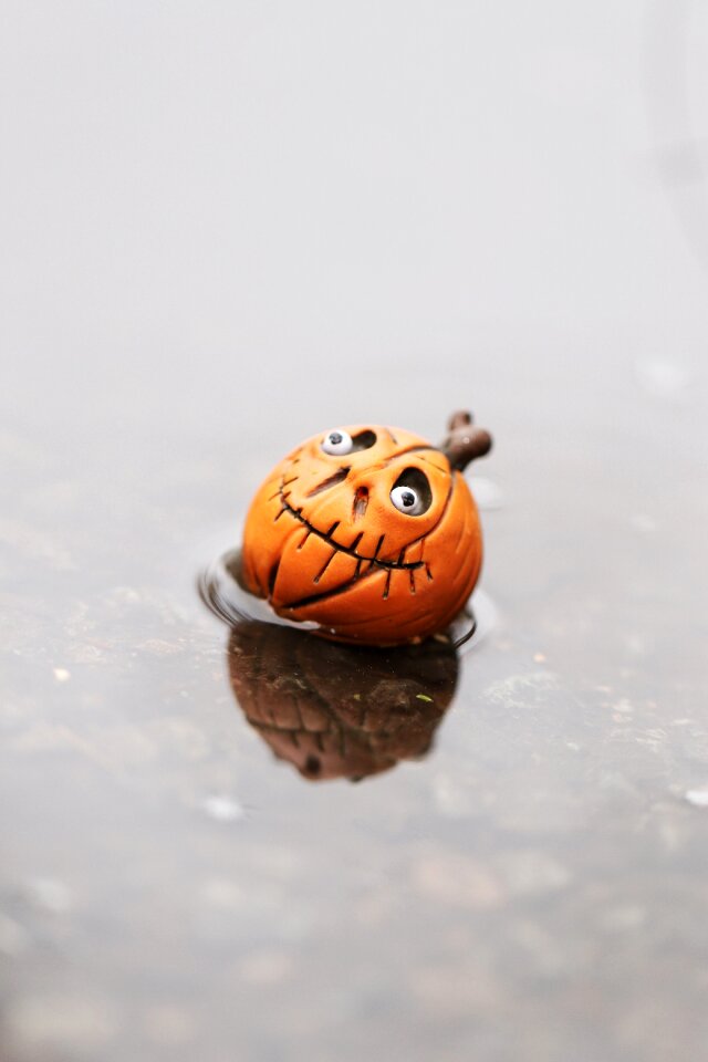 Pumkin weather water