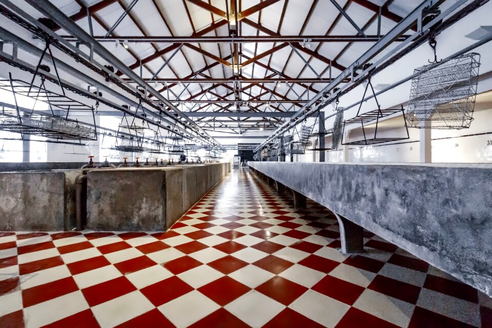 Factory portimao museum