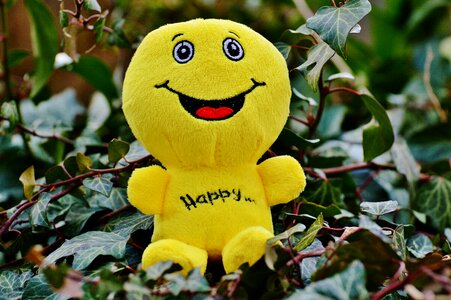 Funny emoticon emotion
