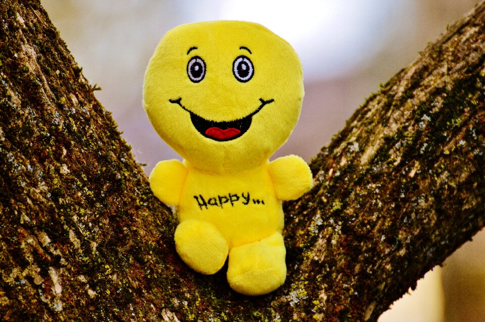 Funny emoticon emotion