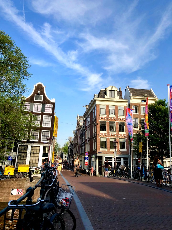 Reestraat, Grachtengordel, Amsterdam, Noord-Holland, Neder… 