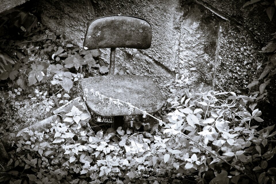 Pforphoto old decay