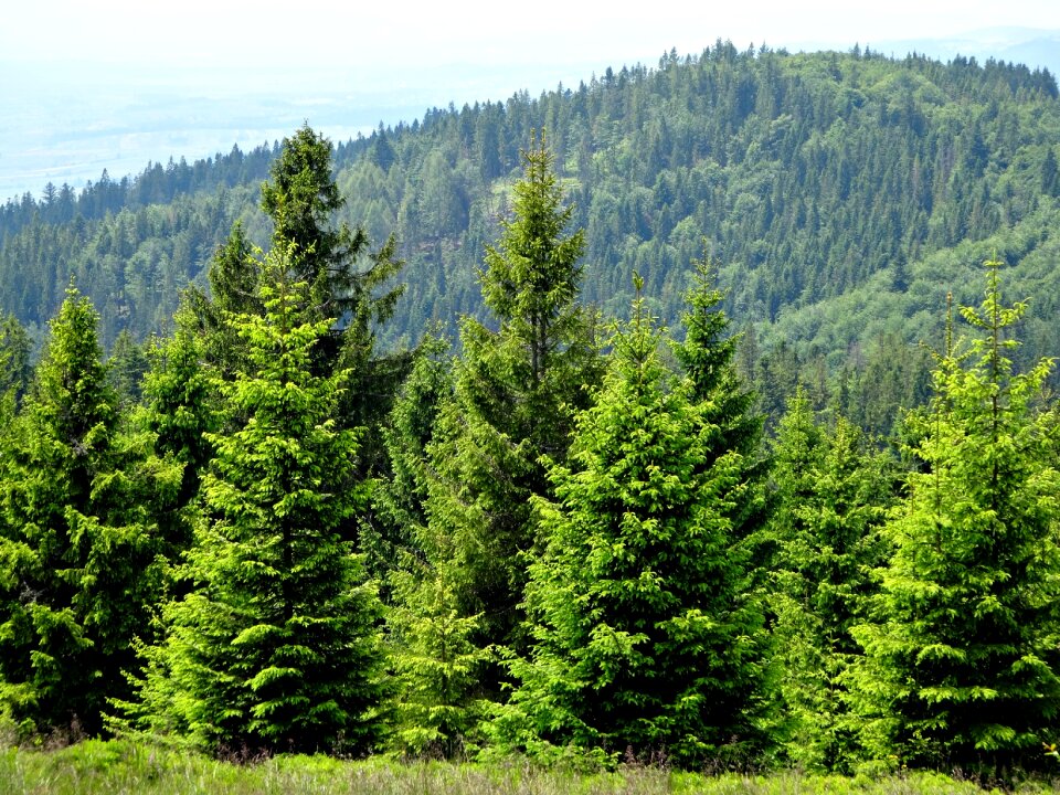 Hiking trail landscape beauty