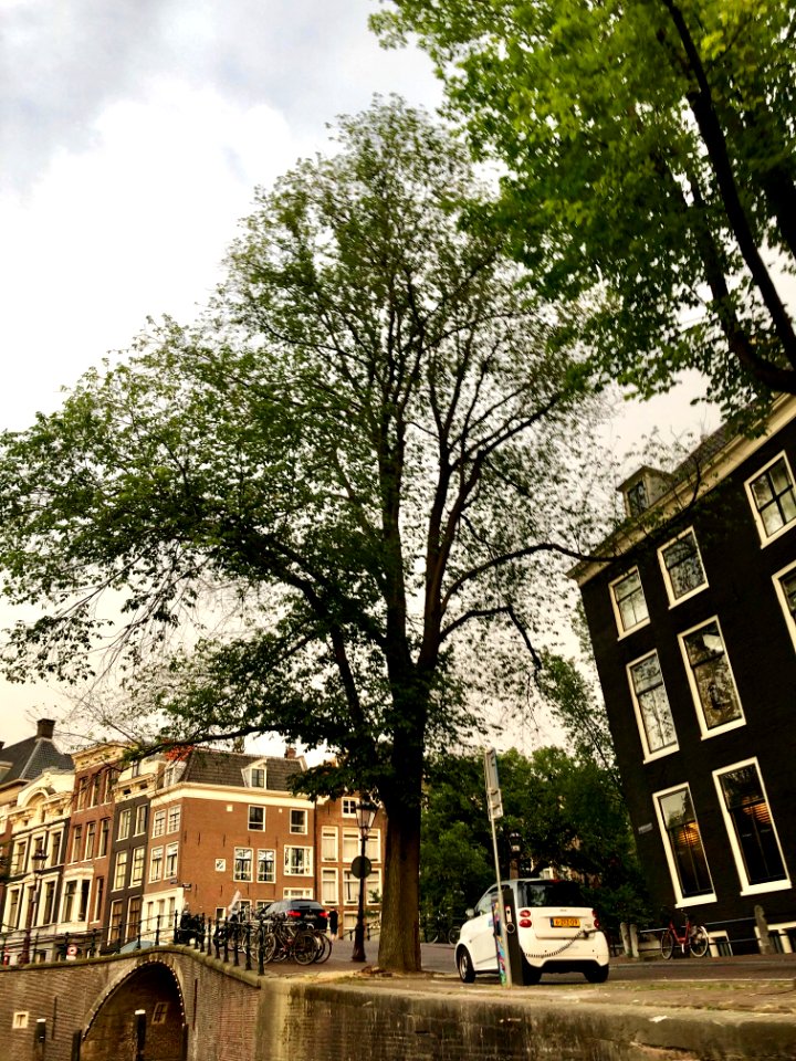 Herengracht, Grachtengordel, Amsterdam, Noord-Holland, Ned… 
