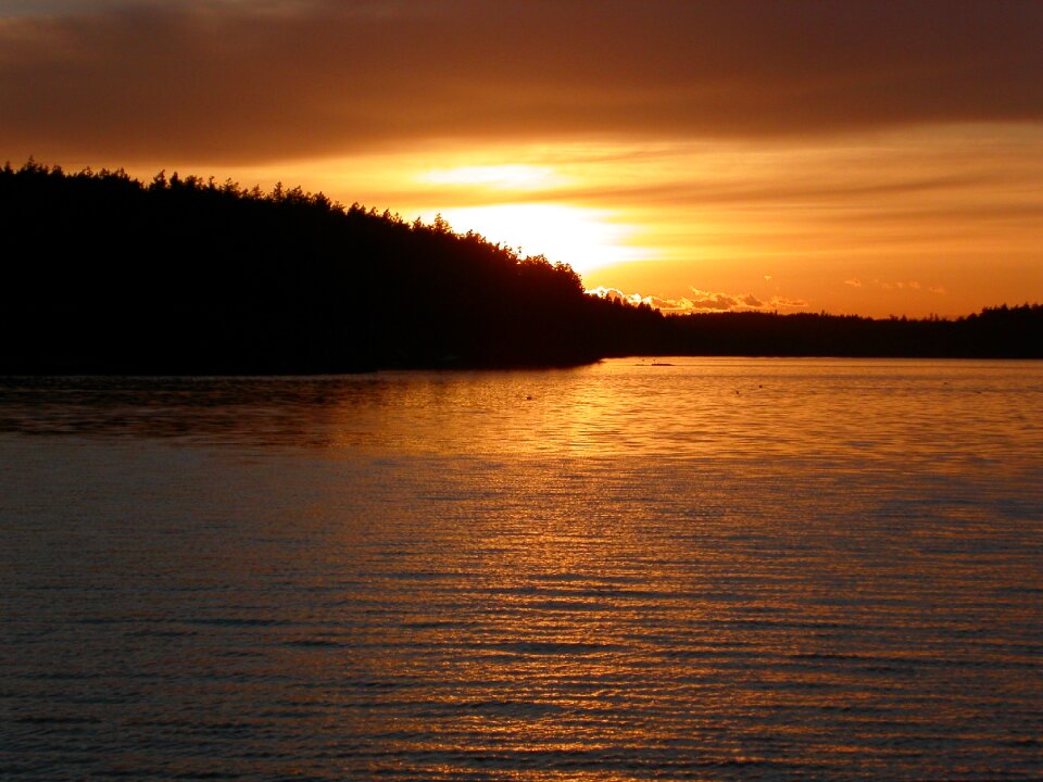 Sunset washington ferry