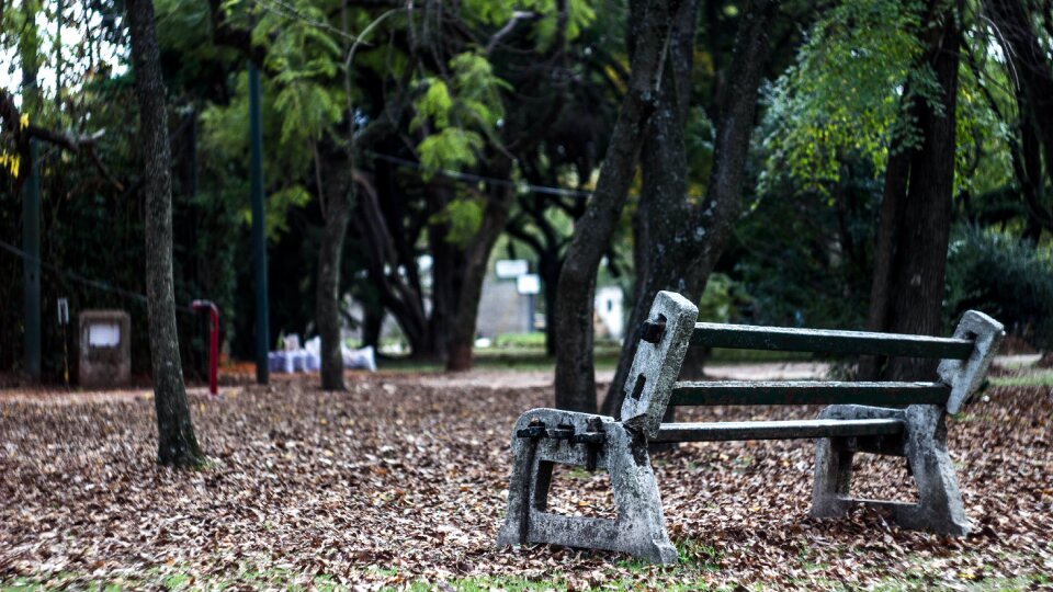 Park alone sitting photo