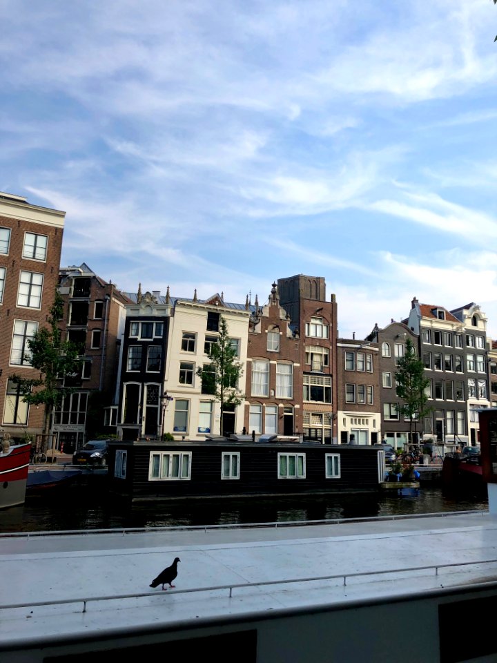 Singel, Binnenstad, Amsterdam, Noord-Holland, Nederland 