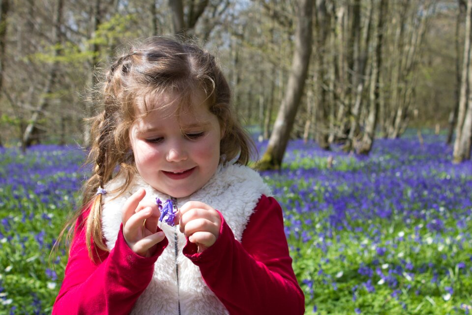 Spring blue woodland