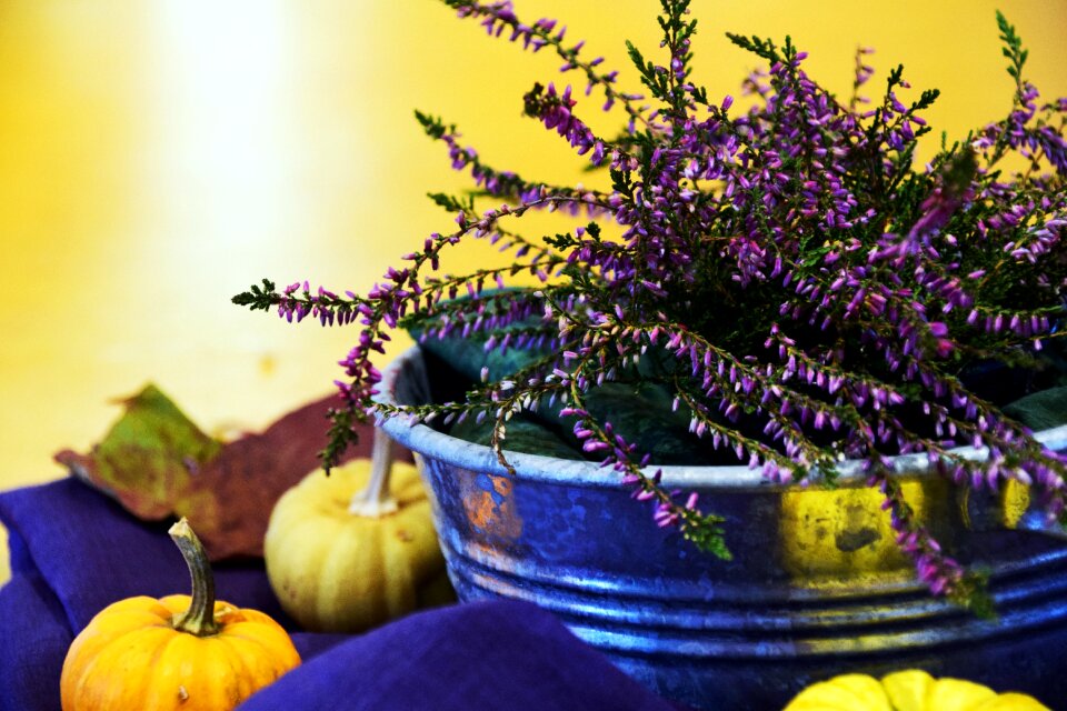 Decoration flowers autumn decoration