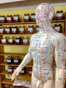 Homeopathy chinese wellness