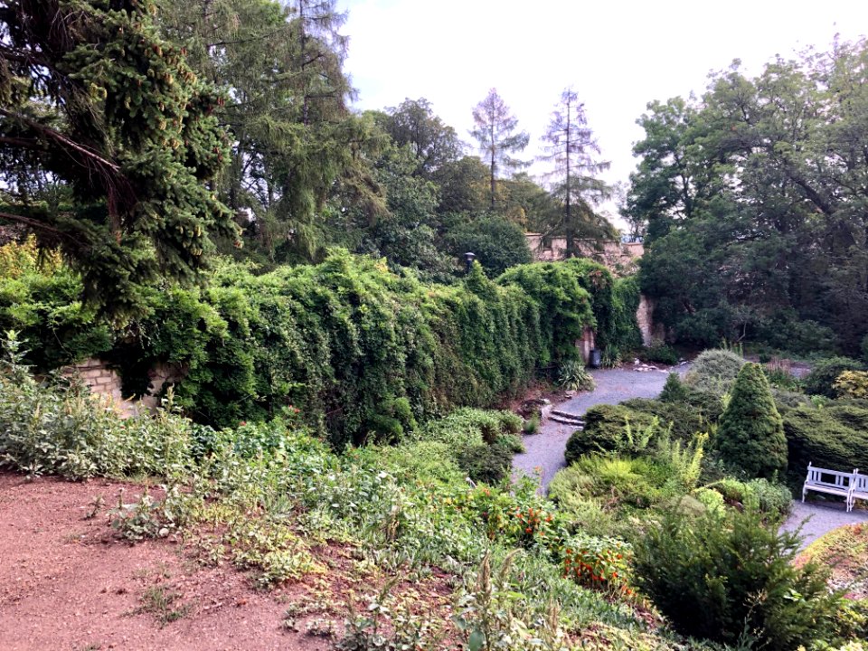 Petřín, Praha, Hlavní město Praha, Česká Republika 